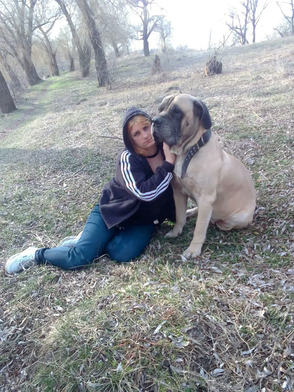 Діана Гітлан