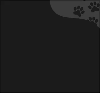 Reviews background